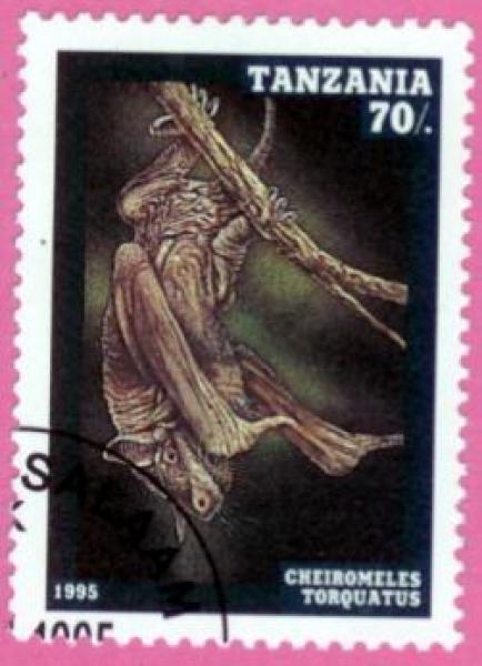 Fledermaus Briefmarke 10